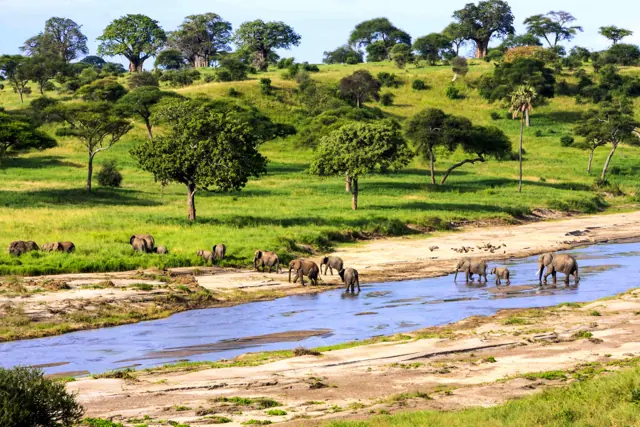 Tarangire