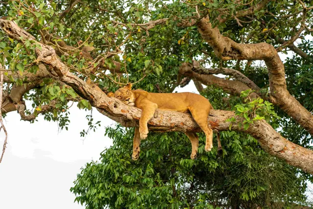 Lake Manyara National Park – Day 3