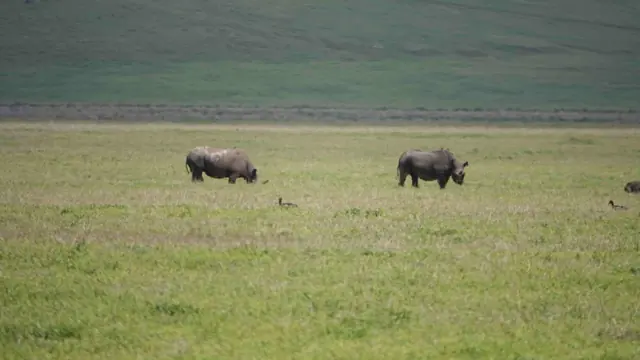 3 DAYS ELEPHANT SAFARI