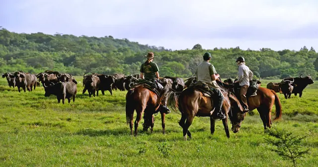 Day trip to Arusha National Park