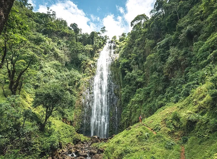 Day Trip to Materuni waterfalls