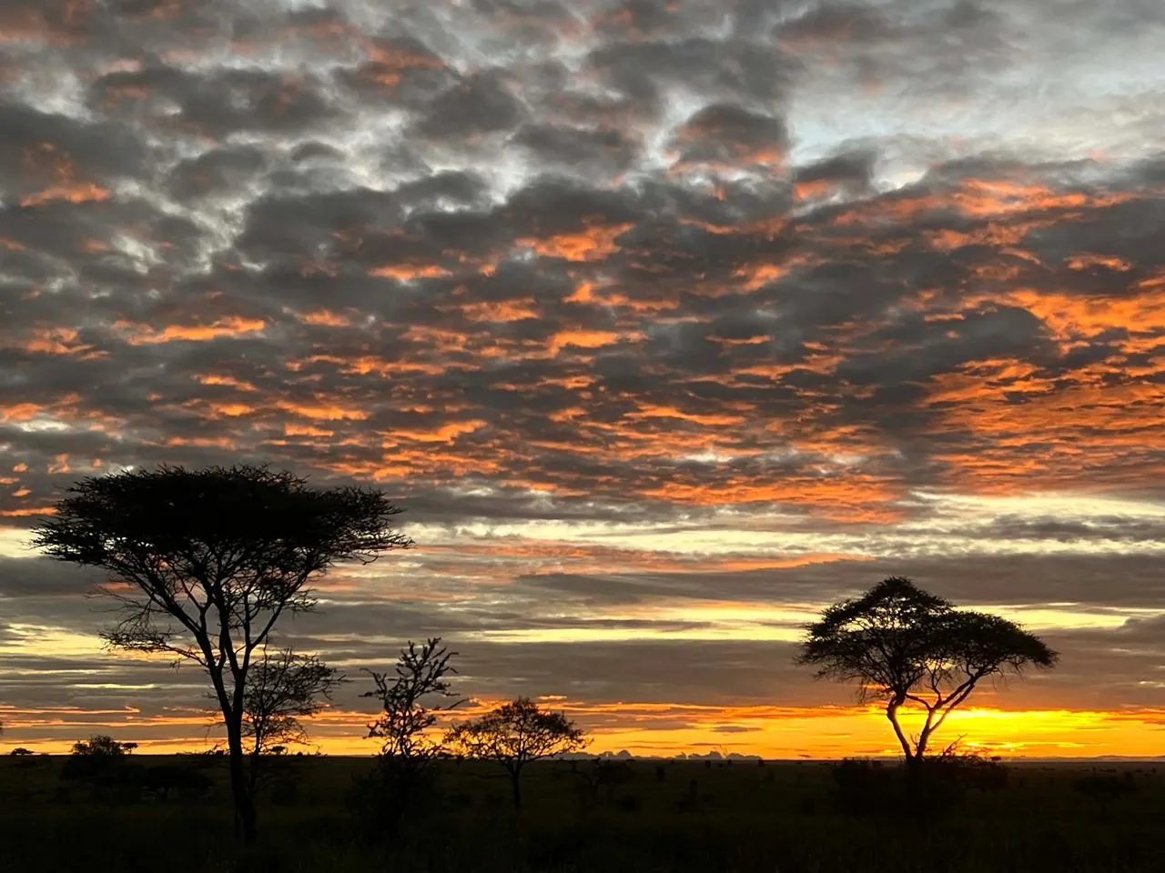 Sunset over the Tanzanian savanna