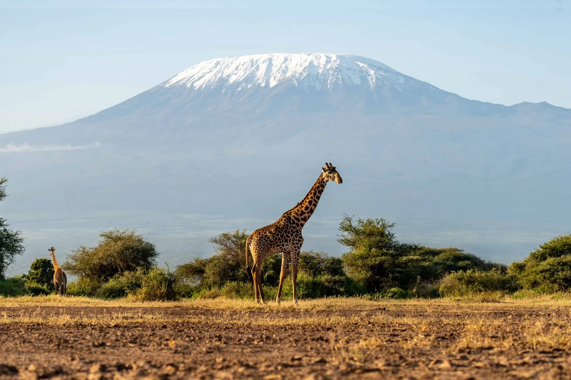 Mt. Kilimanjaro